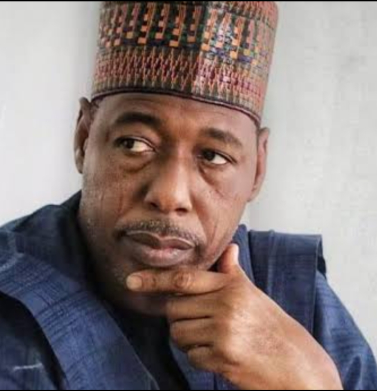 Why We Rejected Tax Reforms Bill…Gov. Zulum