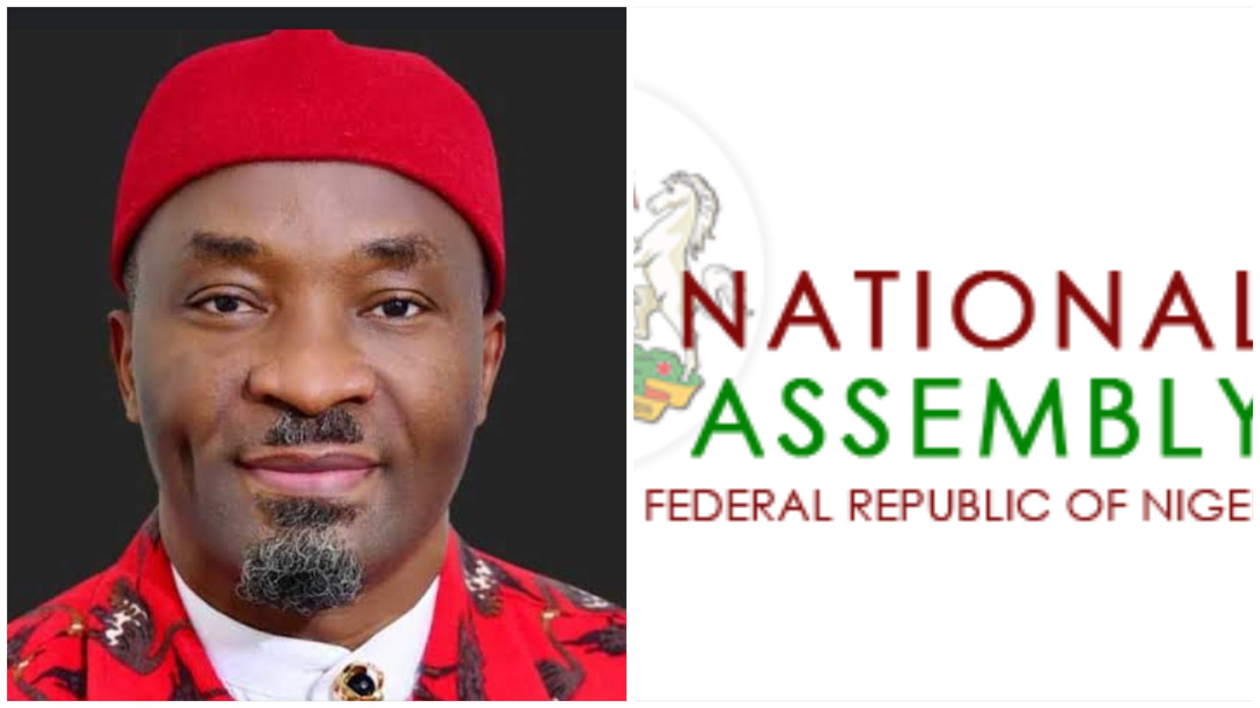 Reps Move to Create 31 New States in Nigeria